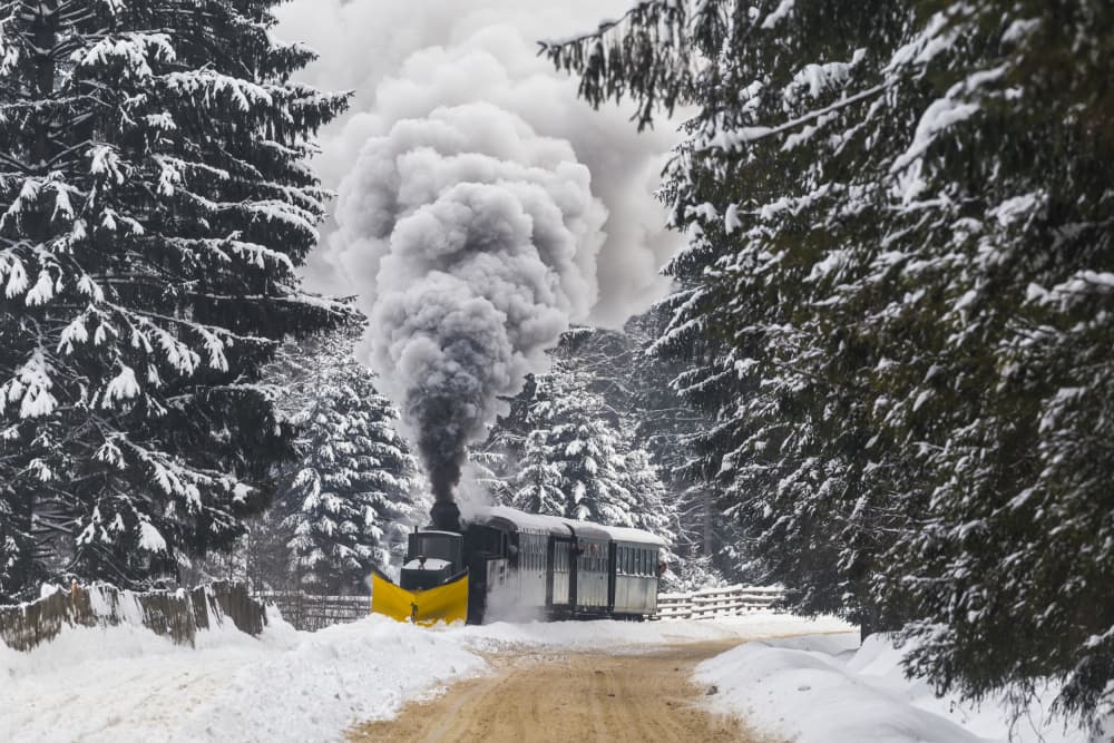Winter Steam Train by Sveduneac Dorin Lucian — canvas wall art