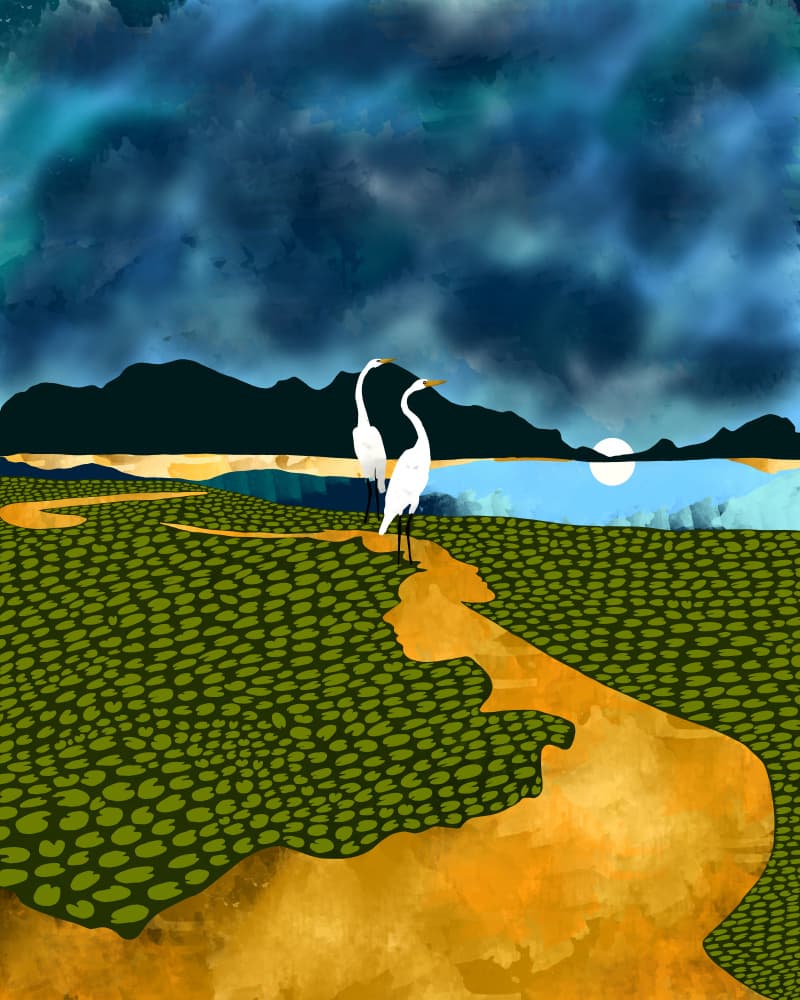 Serene Egrets Landscape by Uma Gokhale — canvas wall art