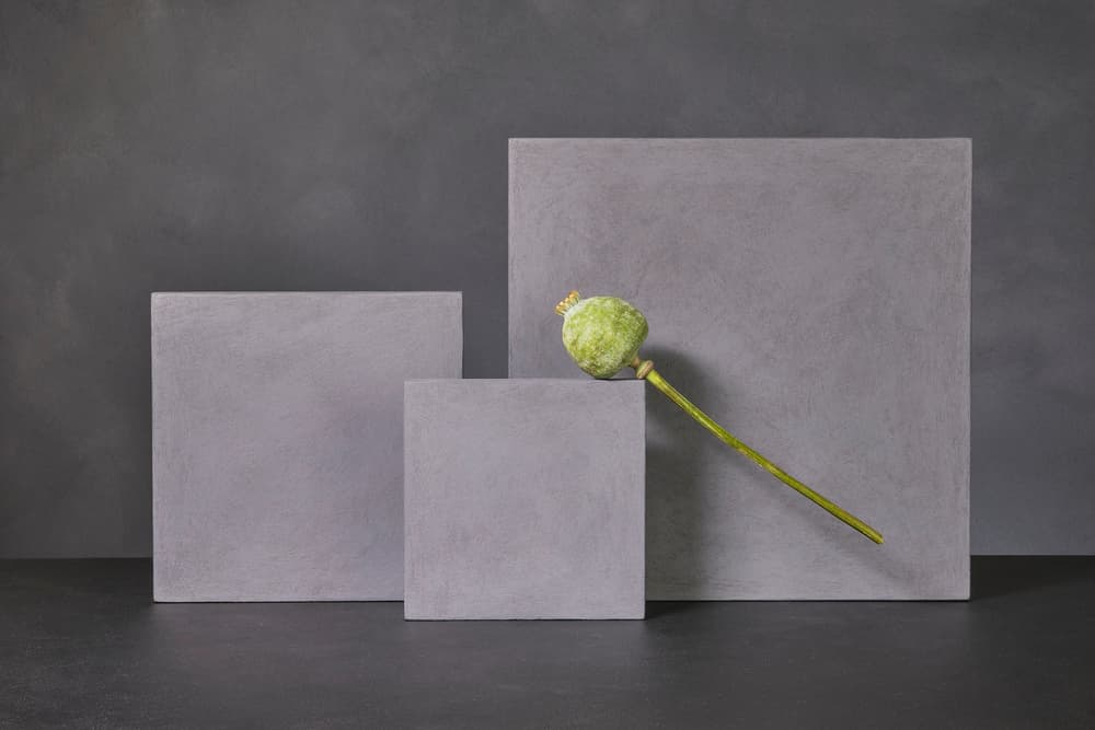 Poppy Pod Still Life by Christophe Verot — canvas wall art