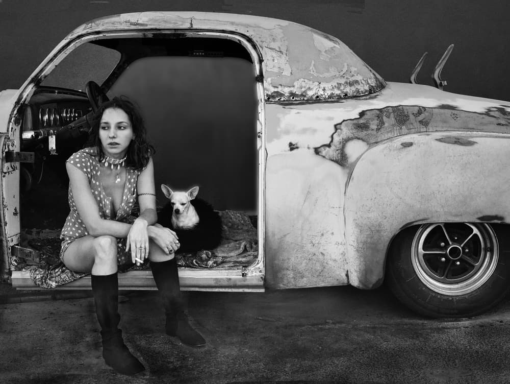 Woman Dog Classic Car by Jane Lyons — canvas wall art