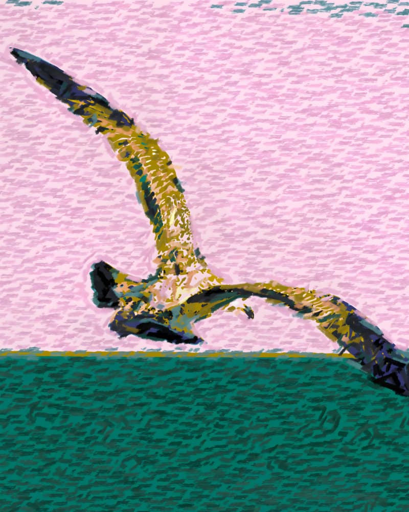 Vibrant Gull Flight by Uma Gokhale — canvas wall art