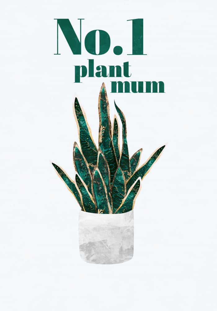 No 1 Plant Mum by Sarah Manovski — canvas wall art