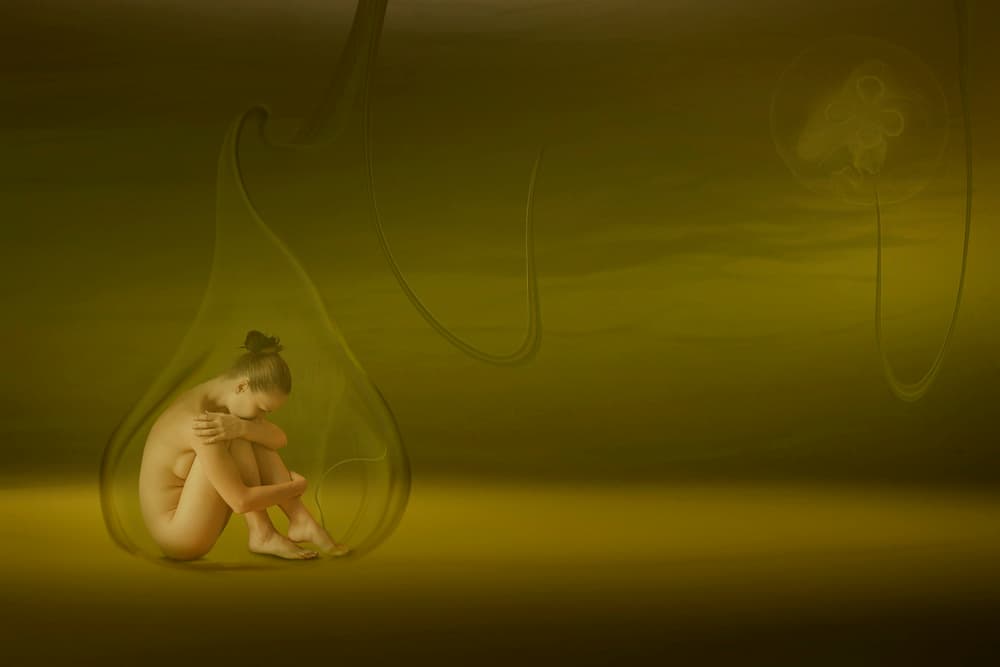 Womb of Solitude by Christine von Diepenbroek — canvas wall art