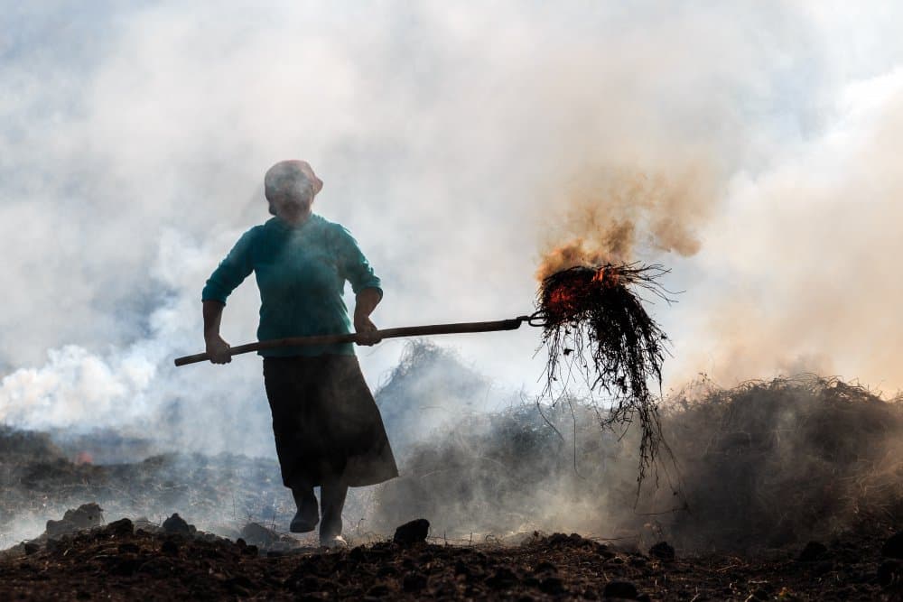 Working Through Smoke by Marina Sveduneac — canvas wall art