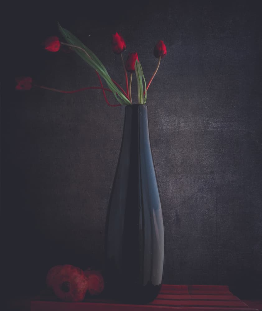 Elegant Red Tulips by Farid Kazamil — canvas wall art