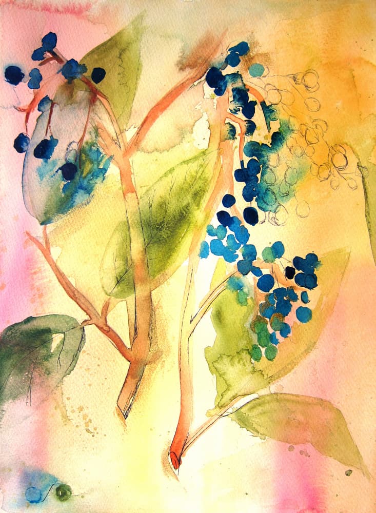 Vibrant Blue Berries by Christine Lindstrom — canvas wall art