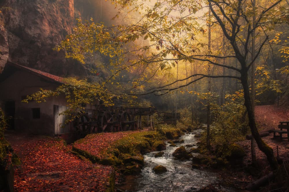 Misty Autumn Mill Stream by Uschi Hermann — canvas wall art