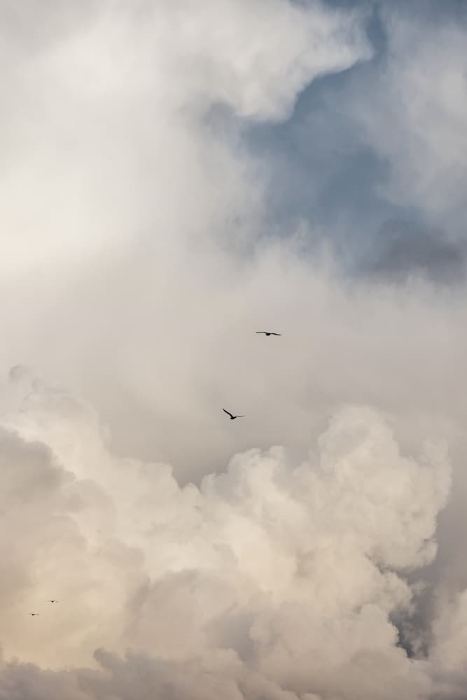 Flying High 14 by Mareike Böhmer — canvas wall art