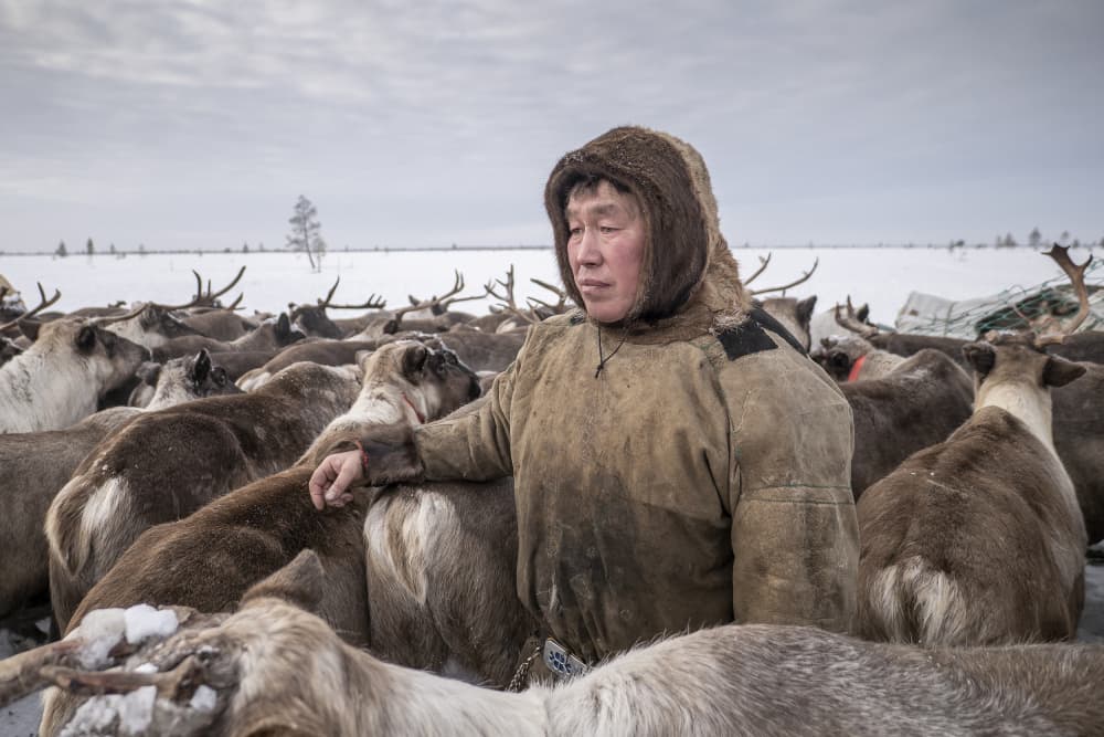 Reindeer Herder Winter by Marcel Rebro — canvas wall art