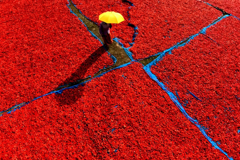 Red Chili Drying Umbrella by Avishek Das — canvas wall art