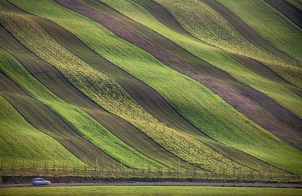 Wavy Green Fields by Peter Svoboda MQEP — canvas wall art