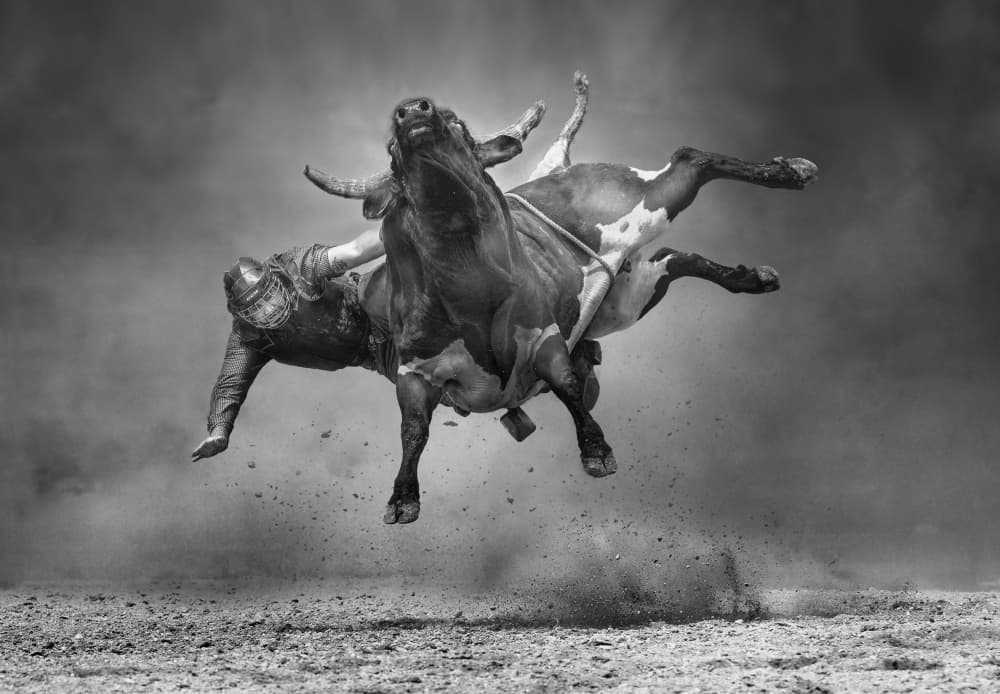 Airborne Rodeo Bull by Leeian Dai — canvas wall art