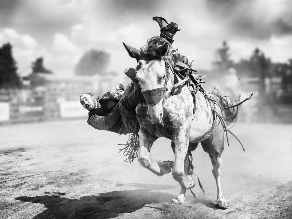 Rodeo Cowboy Falling by Steven Zhou — canvas wall art