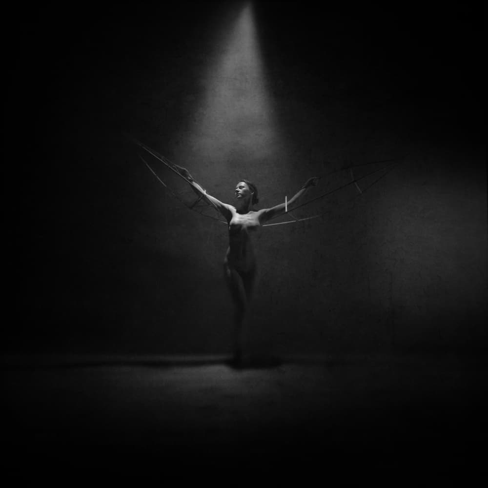 Pinned Wings by Yaroslav Vasiliev-Apostol — canvas wall art