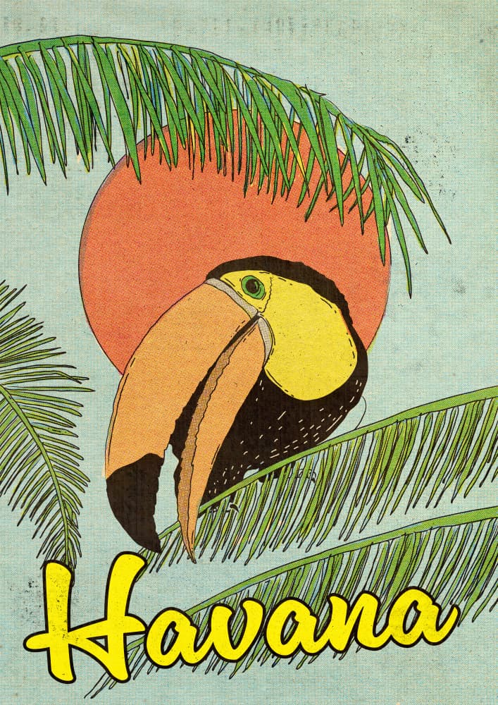 Vintage Havana Toucan by Nicholas — canvas wall art