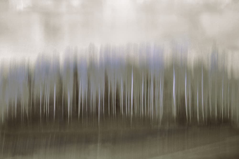 Blurred Forest Reflection by Christina Sillen — canvas wall art
