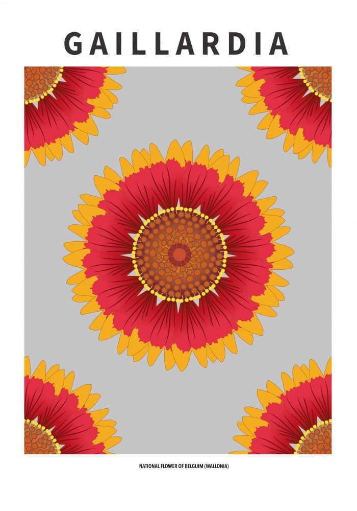 Vibrant Gaillardia Flowers by Paperago — canvas wall art