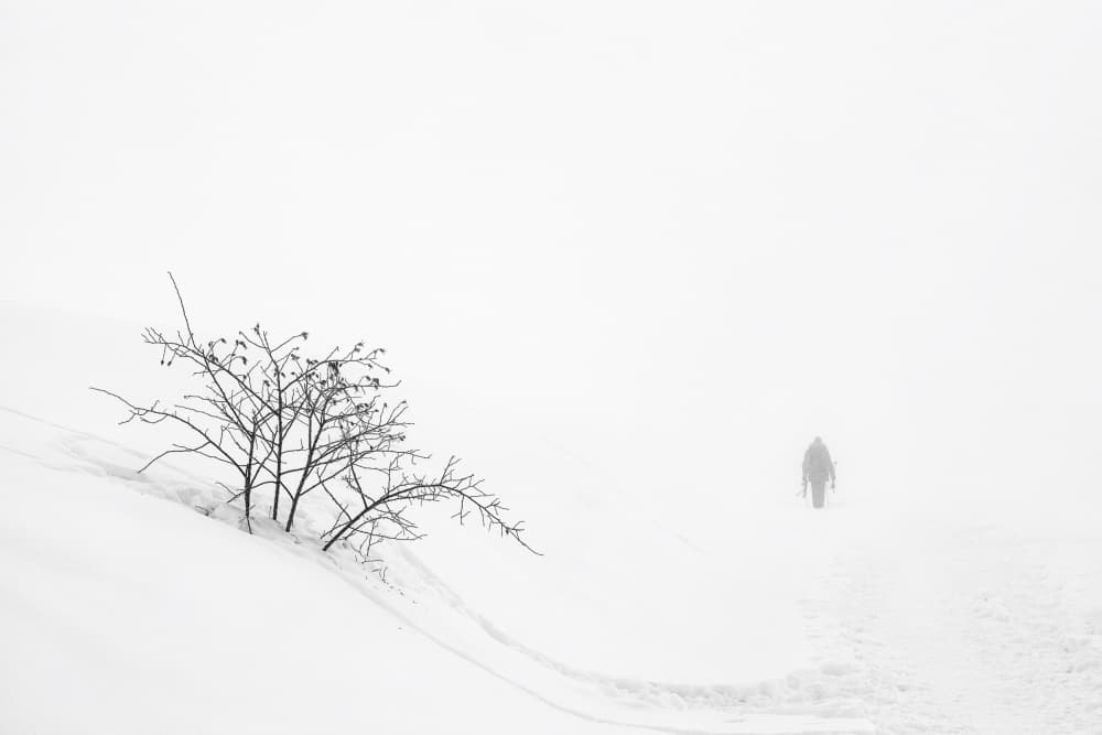 Snowy Solitude by Benjamine Hullot Scalvenzi — canvas wall art