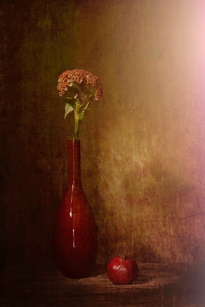 Dark Still Life Blooms by Saskia Dingemans — canvas wall art