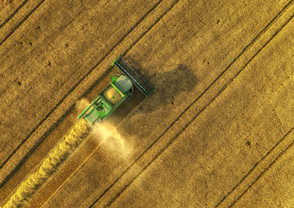 Golden Wheat Harvest by Guy Krier — canvas wall art