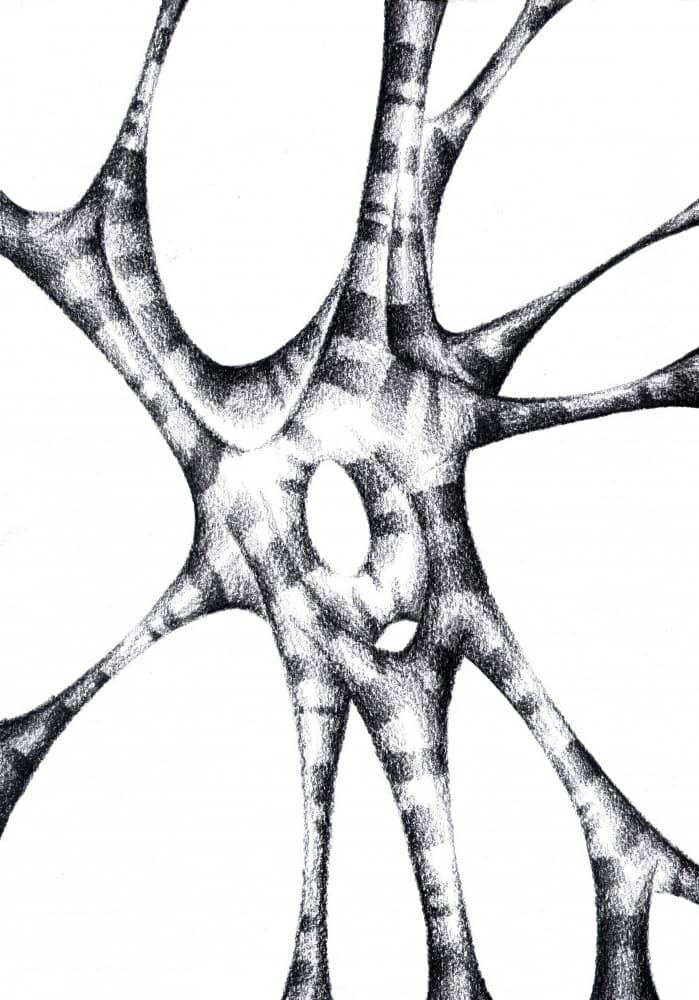 Organic Abstract Structure by Kulik — canvas wall art