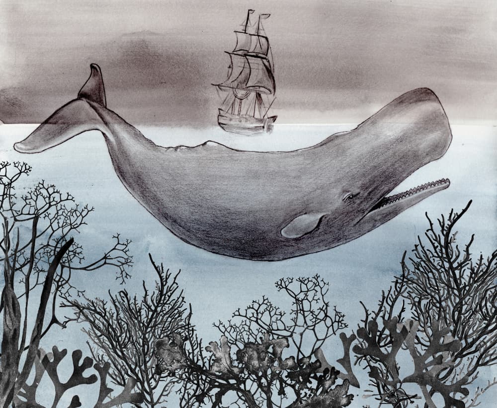 Deep Ocean Whale Ship by Christine Lindstrom — canvas wall art
