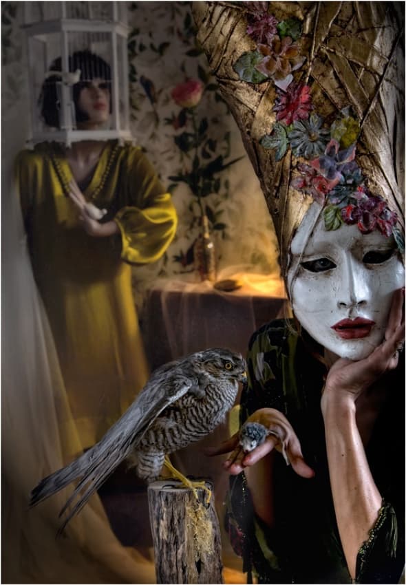 Masked Woman Birdcage Dream by ambra — canvas wall art