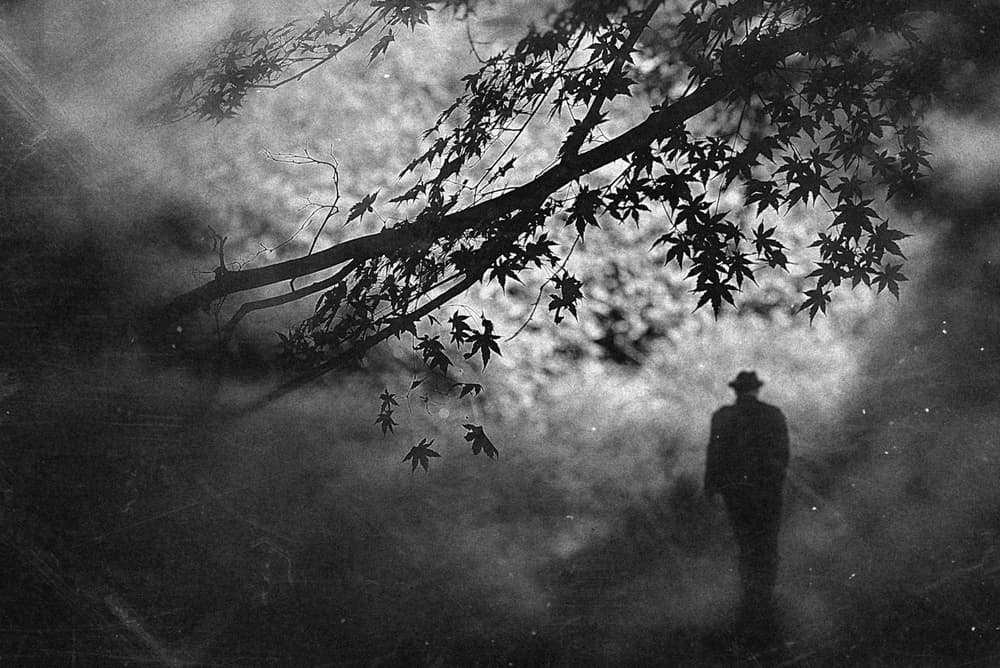 Misty Path Wanderer by Teruhiko Tsuchida — canvas wall art