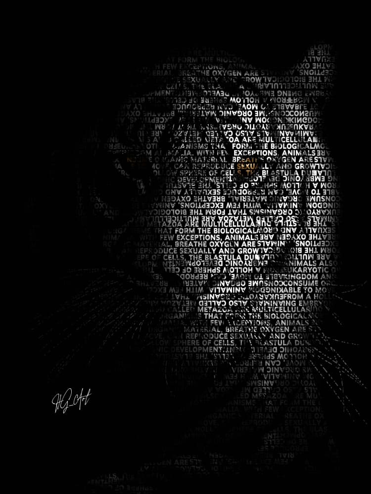 Typographic Tiger Portrait by Ojenike Oladapo — canvas wall art