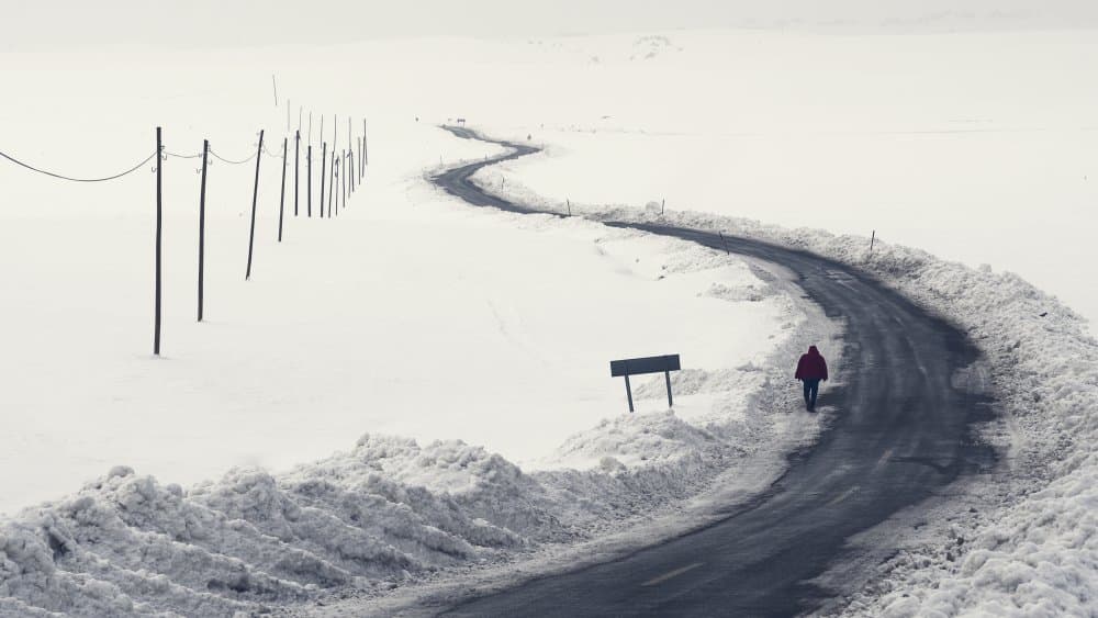 Winter Road Wanderer by Emir Bagci — canvas wall art