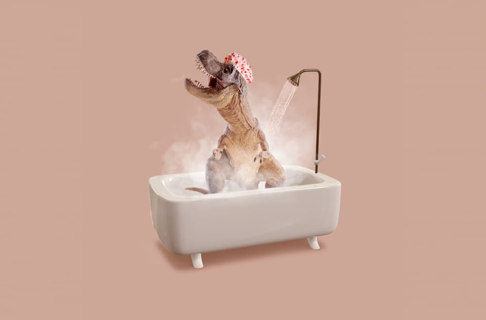 T-Rex Bath Time by Artem Pozdniakov — canvas wall art