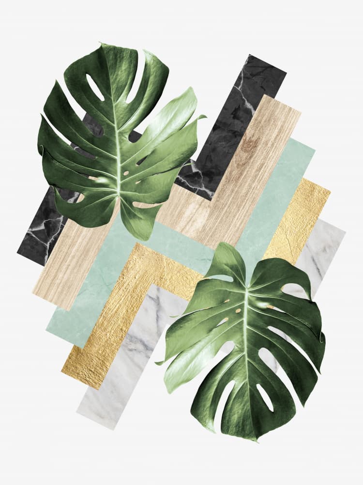 Monstera Geometric Textures by Vitor Costa — canvas wall art
