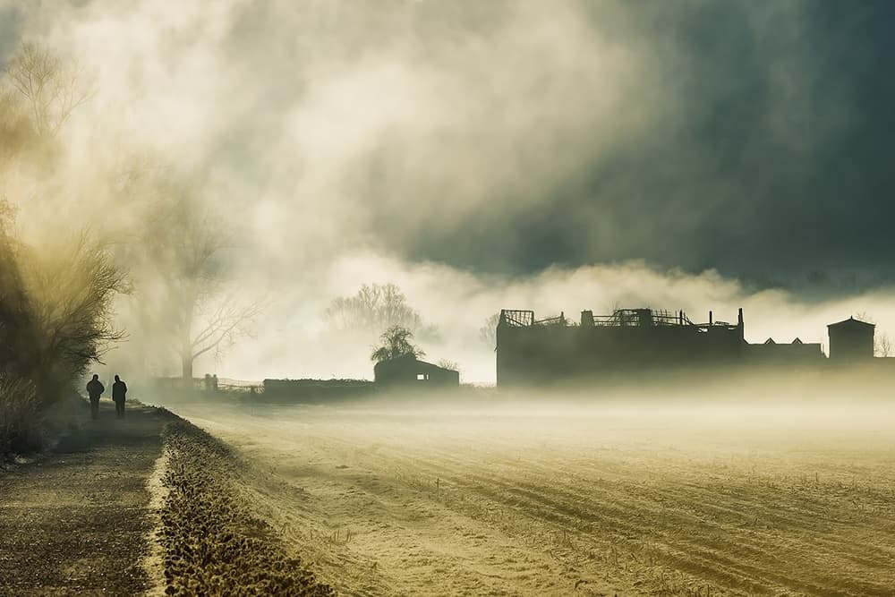 Misty Morning Walk by Roberto Marini — canvas wall art