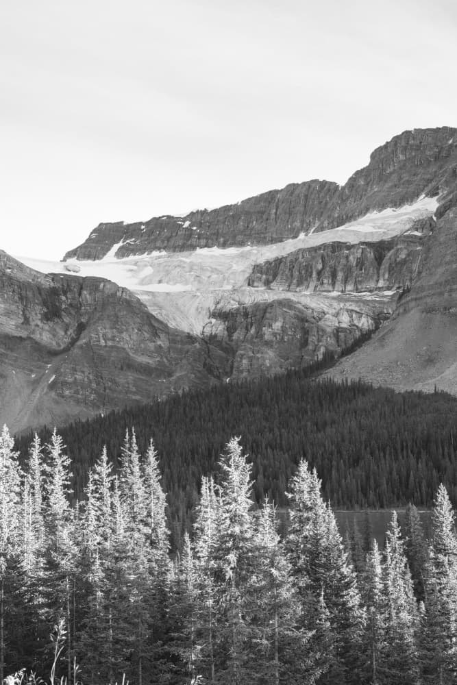 Majestic Mountain Glacier by Lynann Colligan — canvas wall art