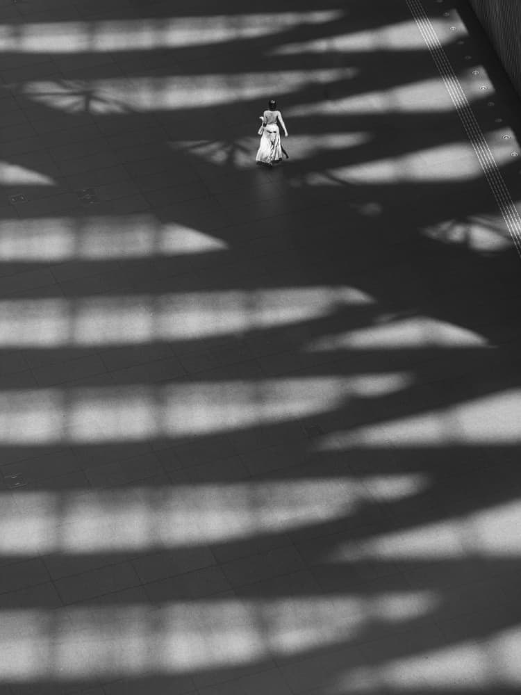 Solitary Woman Long Shadows by IKUMI FUKAZAWA — canvas wall art