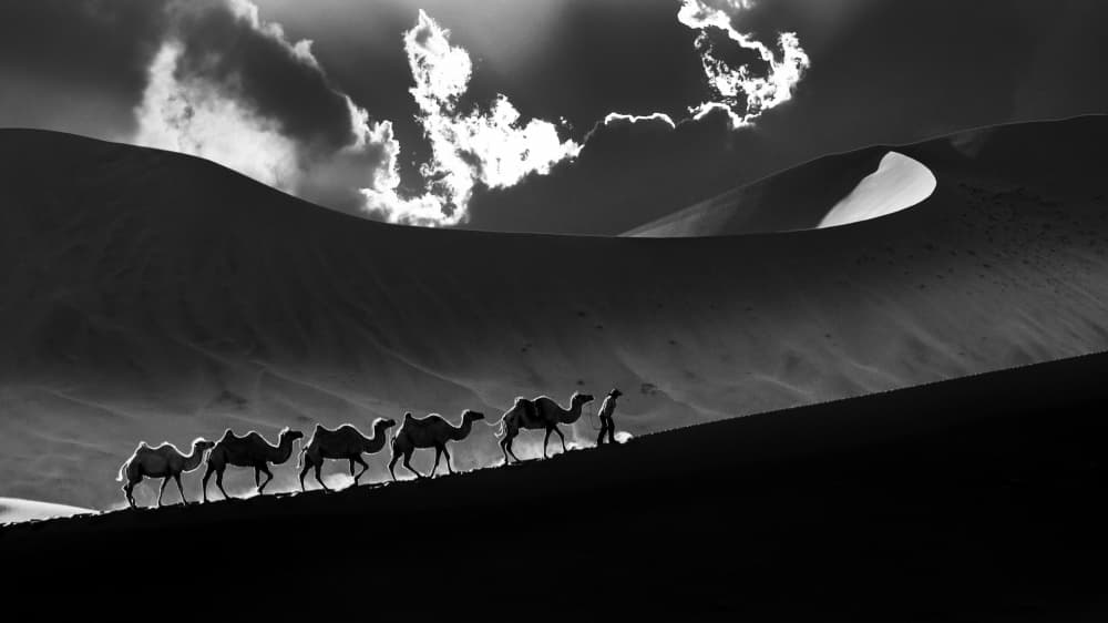 Desert Camel Journey by Shin Woo Ryu — canvas wall art