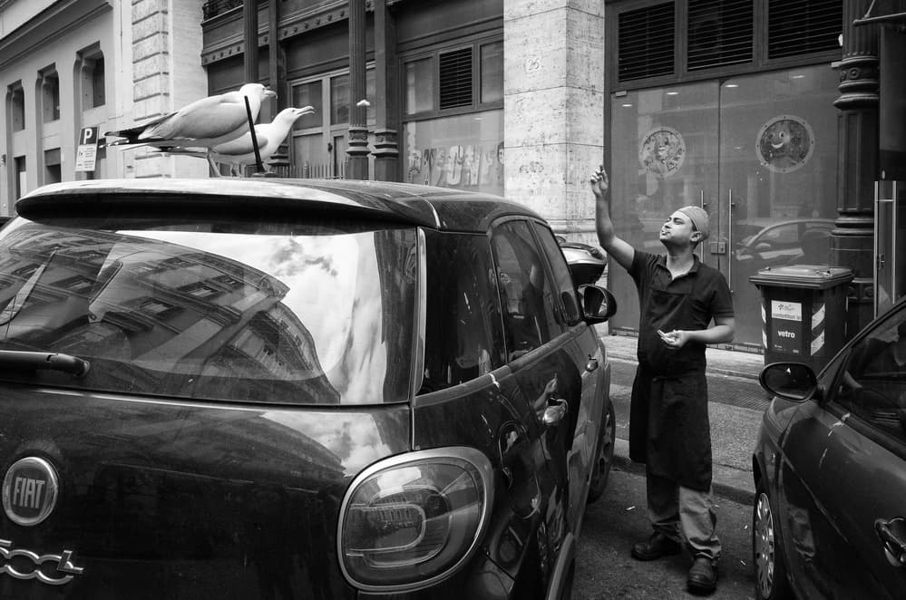 Man Meets City Gulls by Riccardo Lucidi — canvas wall art