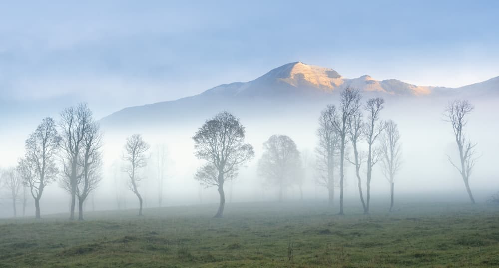 Misty Mountain Dawn by Nina Pauli — canvas wall art