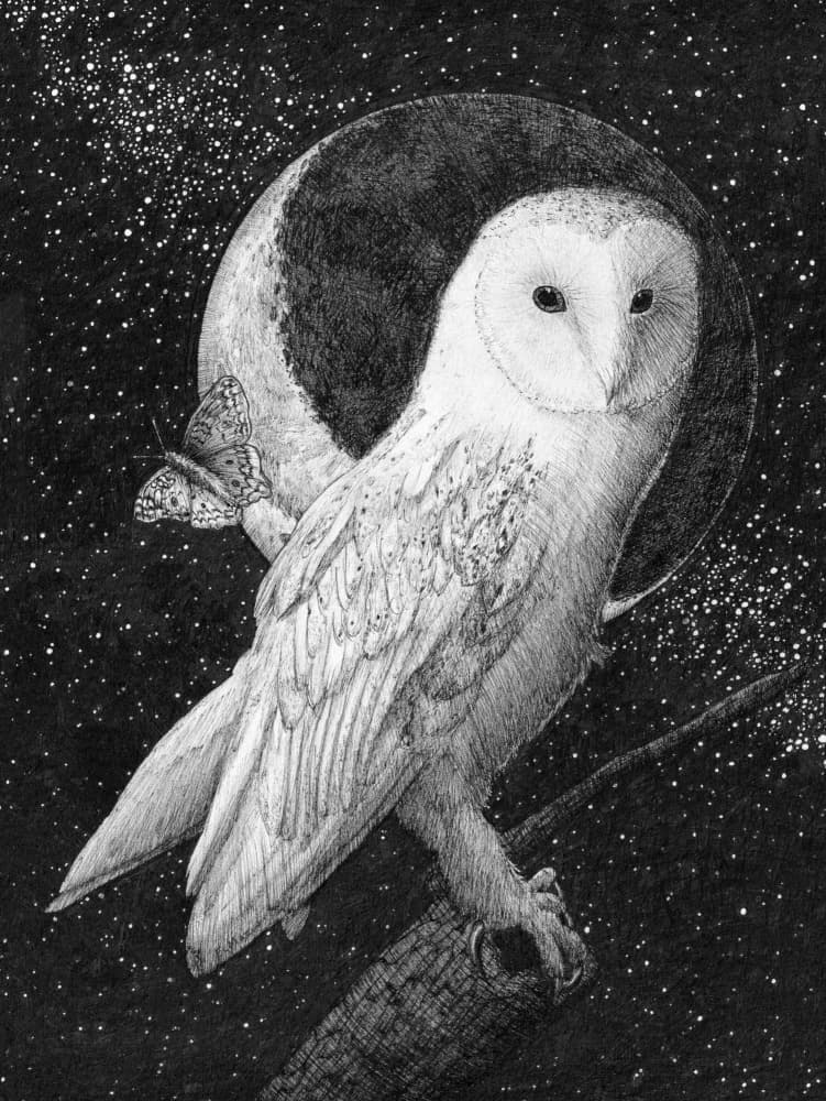 Moonlit Barn Owl by EC Mazur — canvas wall art