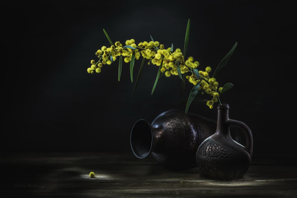 Yellow Mimosa Still Life by Vadim Kulinsky — canvas wall art