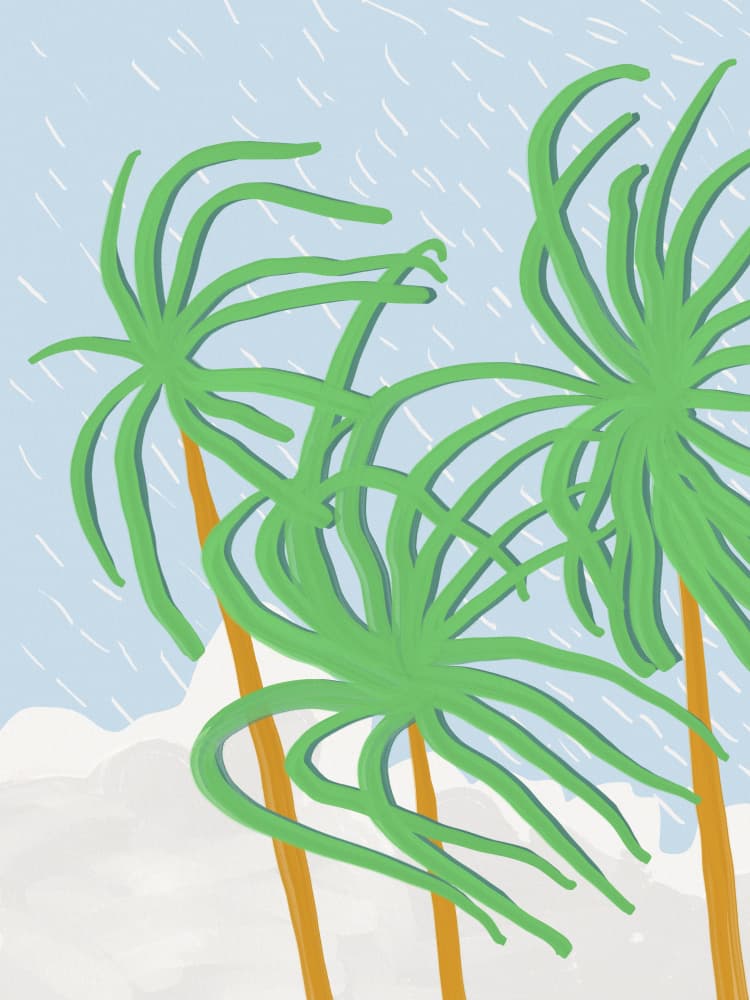 Swaying Palm Trees by Little Dean — canvas wall art