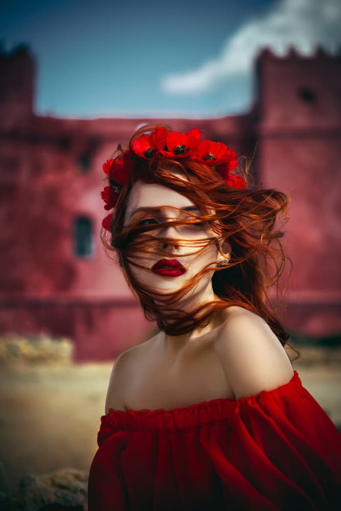 Wind Blown Red Poppies by Ruslan Bolgov — canvas wall art