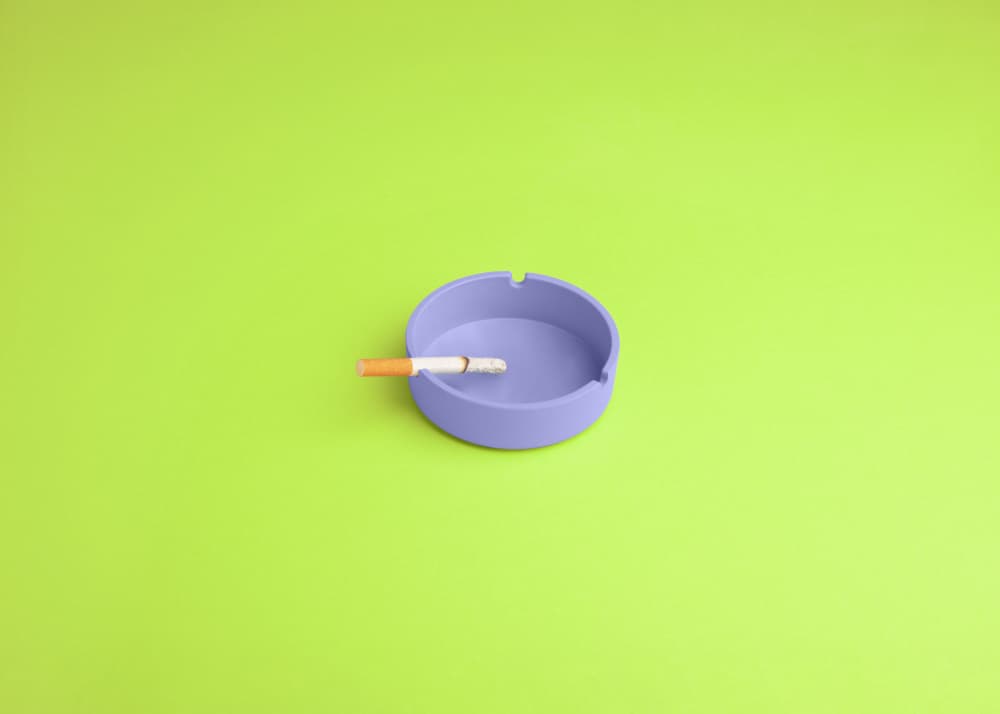 Purple Ashtray Cigarette by Julia Ramiro — canvas wall art