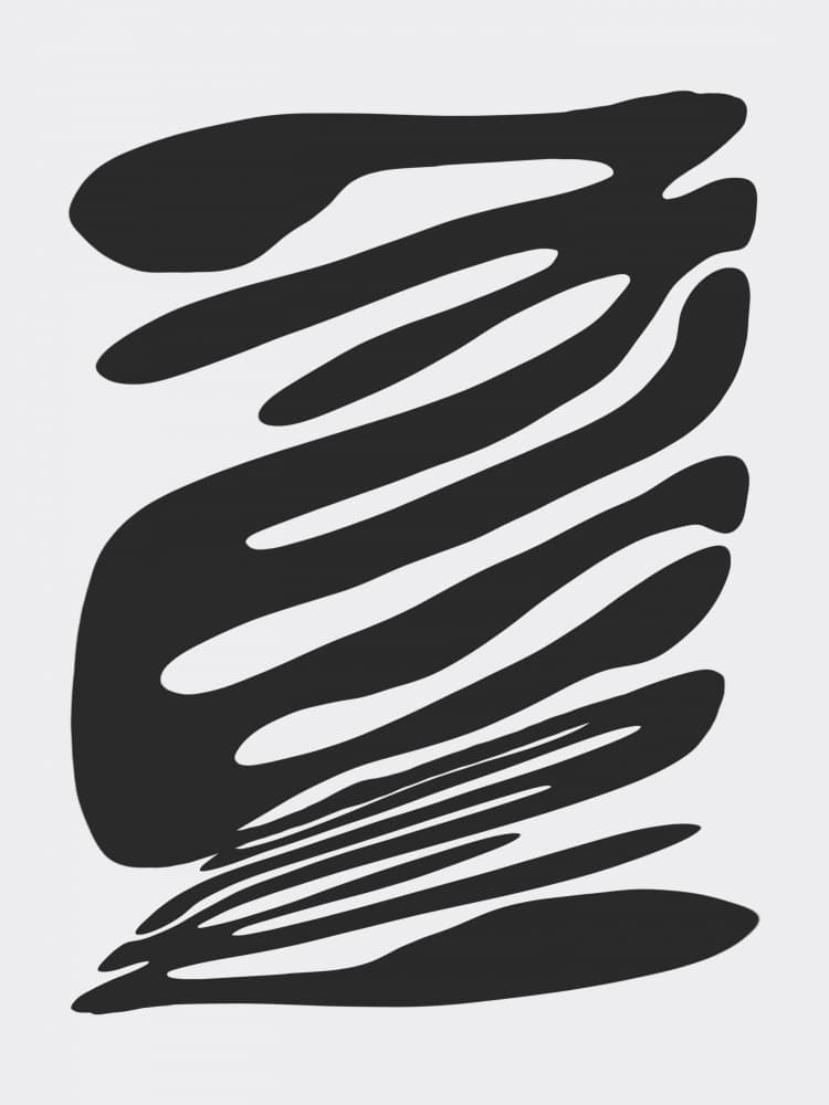 Monochrome Liquid Flow by Little Dean — canvas wall art