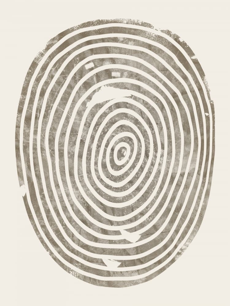 Organic Tree Rings by Ema Paraschiv — canvas wall art