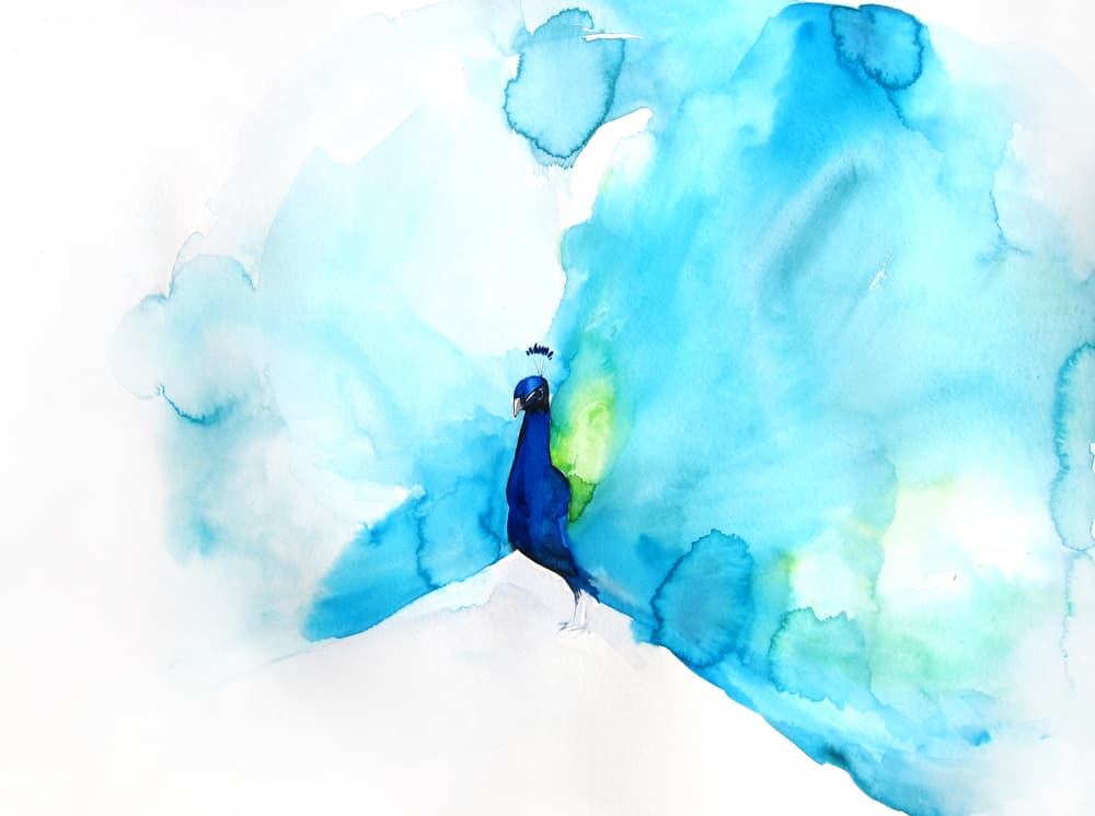 Elegant Blue Peacock by Christine Lindstrom — canvas wall art