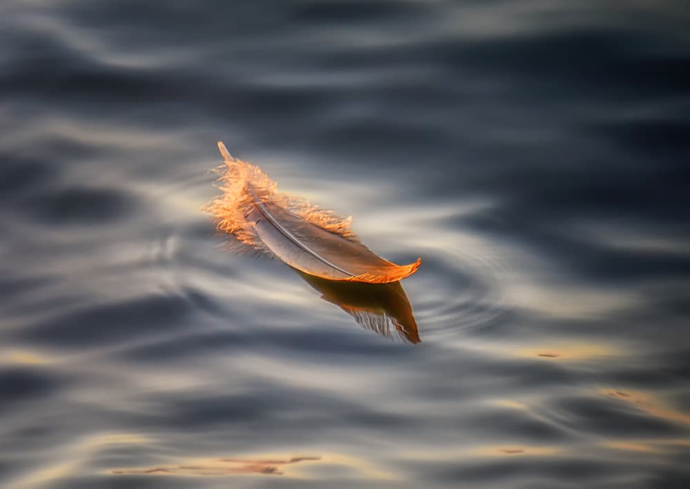 Golden Feather Float by Larry Deng APA — canvas wall art