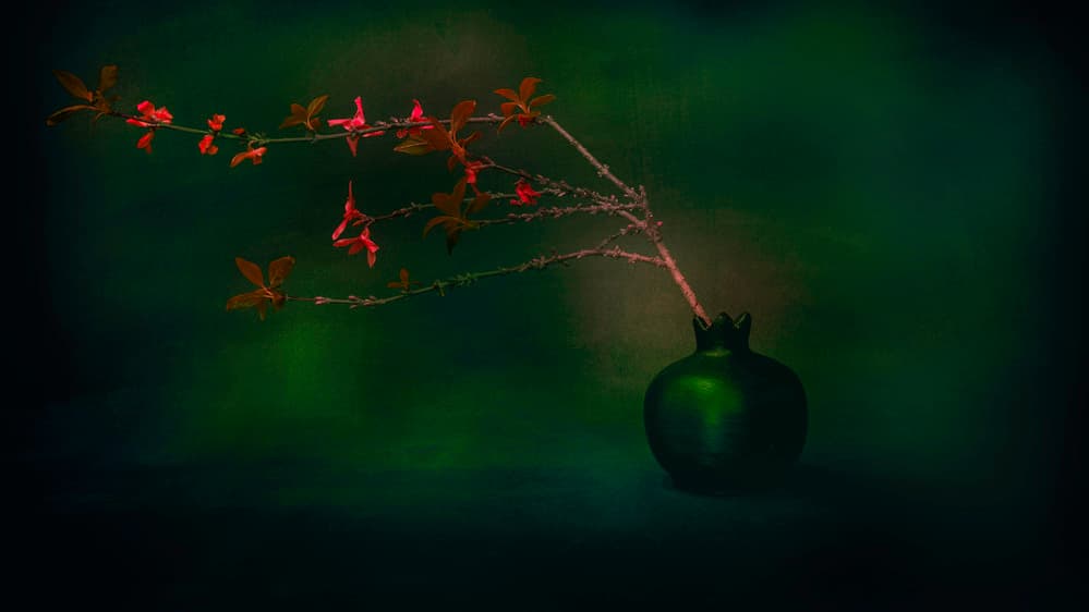 Moody Pomegranate Branch by Cicek Kiral — canvas wall art