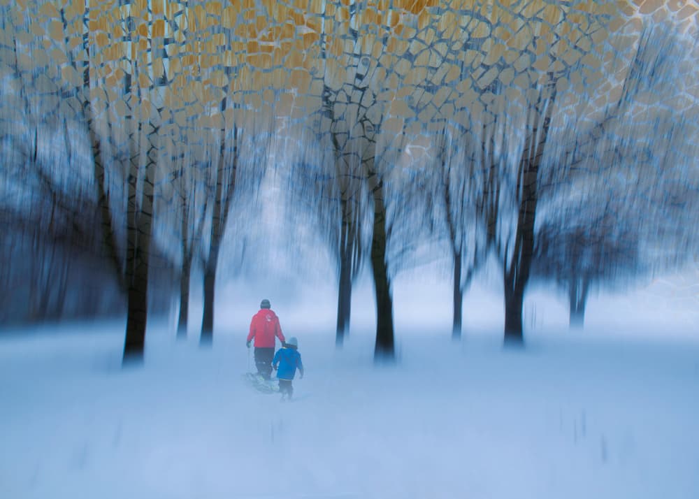 Dreamy Winter Walk by Louie Luo — canvas wall art