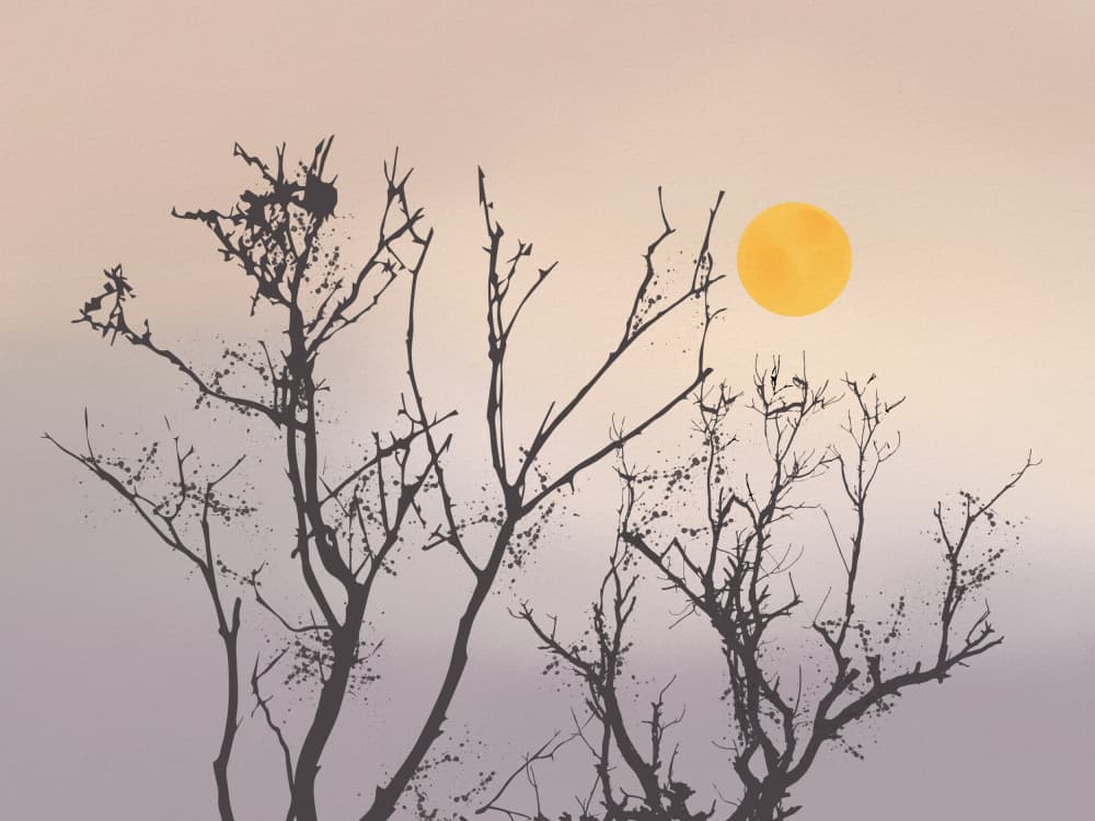 Golden Sun Tree Silhouettes by Little Dean — canvas wall art